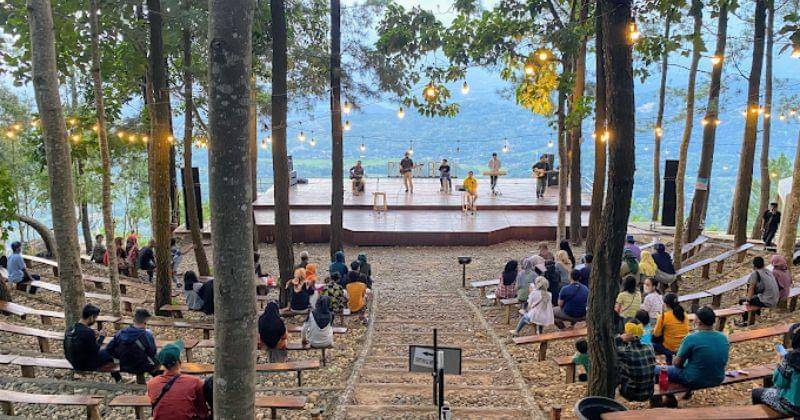 maps.google.com/Puncak Pinus Becici